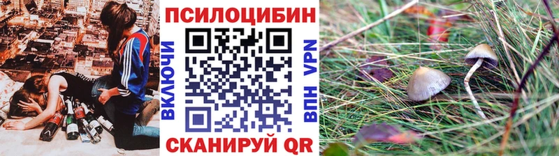 кракен рабочий сайт  Болохово  Псилоцибиновые грибы мицелий  где продают наркотики 