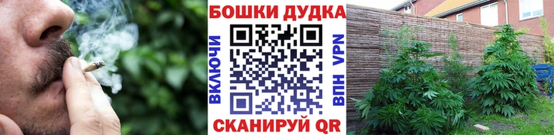 Канабис конопля  наркошоп  Болохово 